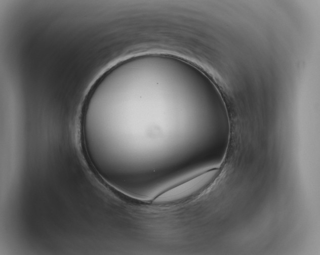 X0000102261518200807251319