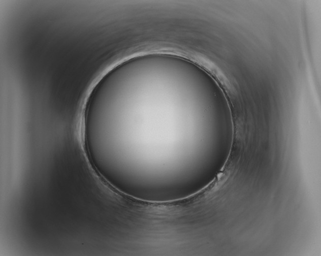 X0000102261520200807251319