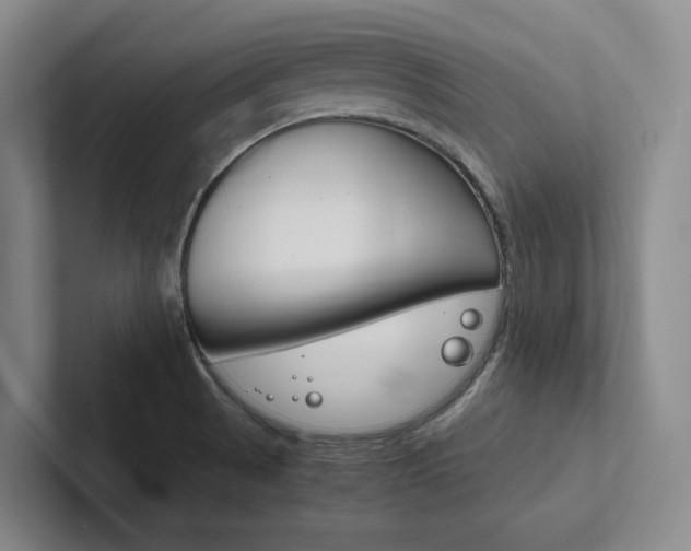 X0000102261521200807251319