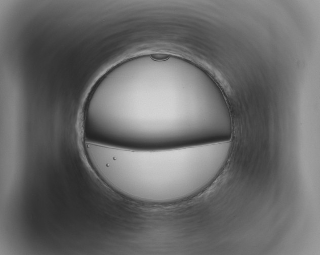 X0000102261522200807251319