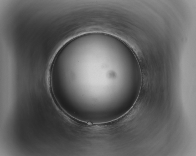 X0000102261527200807251319