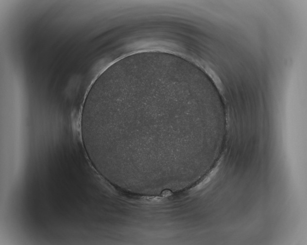 X0000102261529200807251319