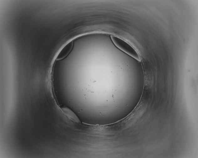 X0000102261532200807251319