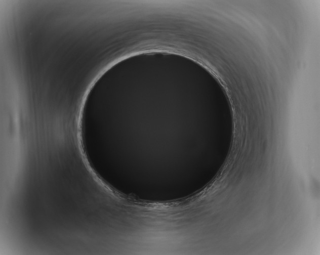X0000102261536200807251319