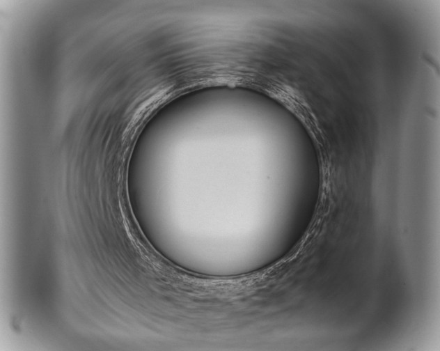 X0000102260001200808011415