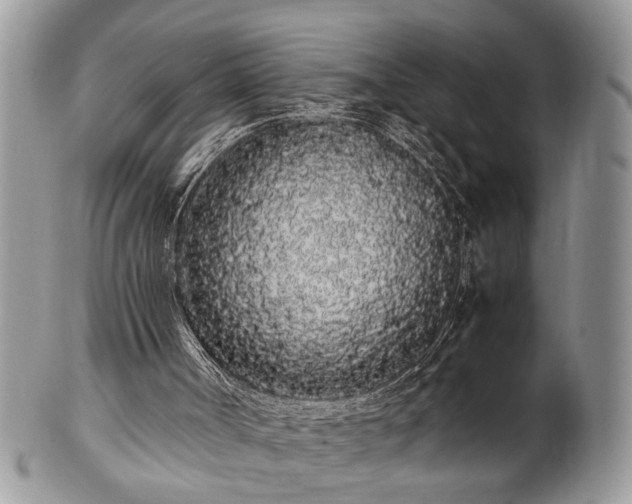 X0000102260002200808011415