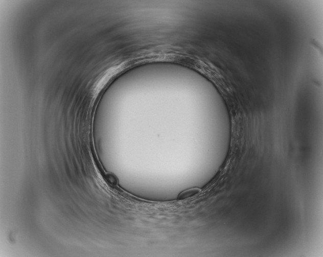 X0000102260003200808011415