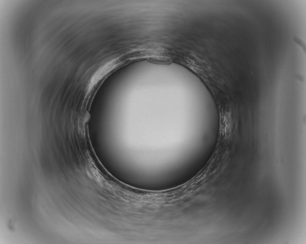 X0000102260004200808011415