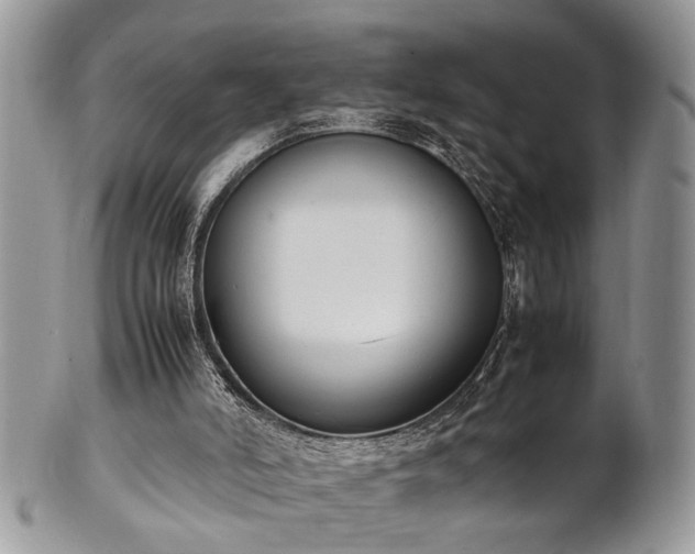 X0000102260006200808011415