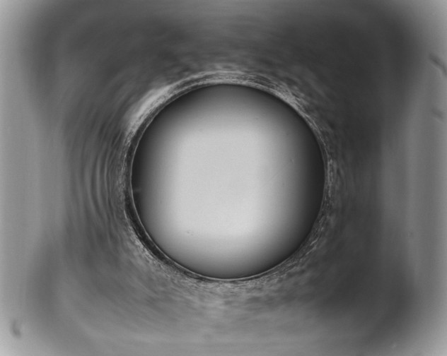 X0000102260007200808011415