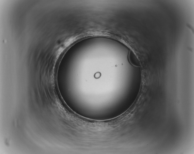 X0000102260008200808011415