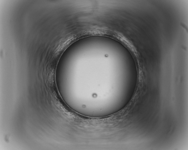 X0000102260009200808011415