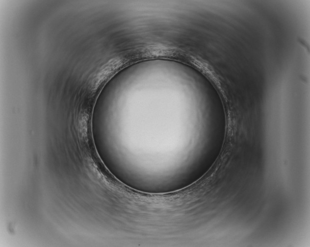 X0000102260010200808011415