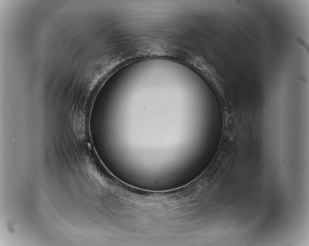 X0000102260012200808011415