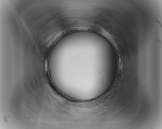 X0000102260013200808011415