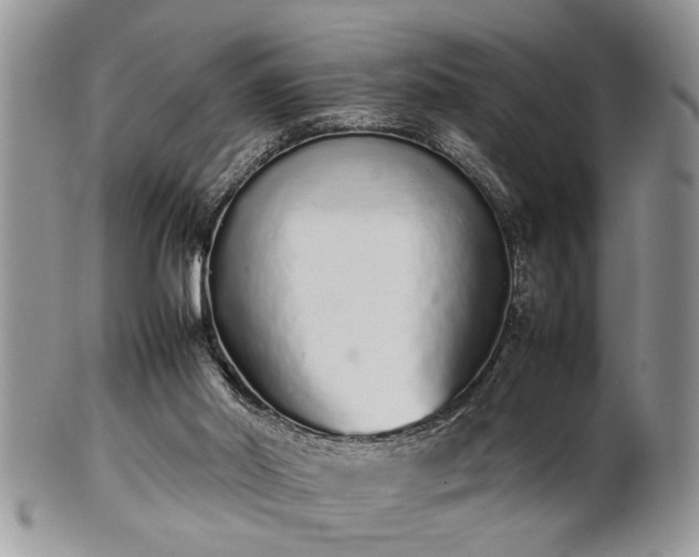 X0000102260014200808011415