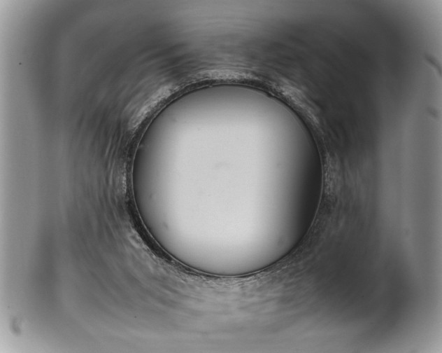 X0000102260015200808011415