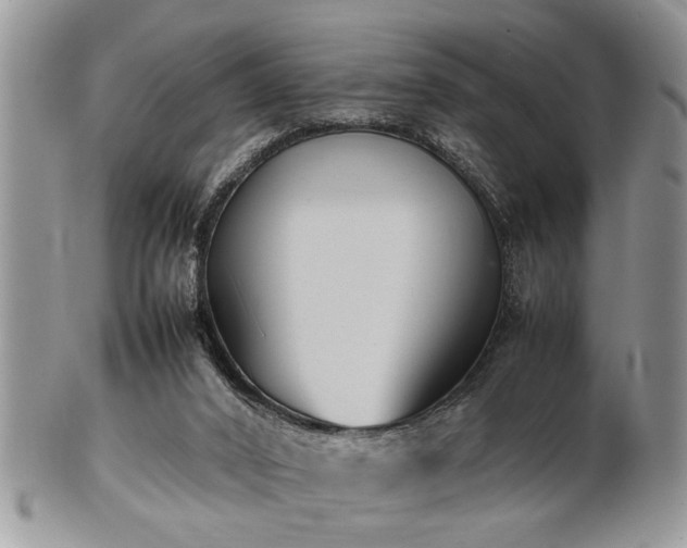 X0000102260016200808011415