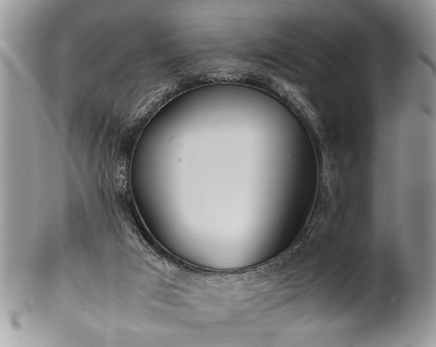 X0000102260017200808011415