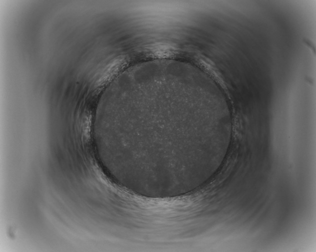 X0000102260018200808011415