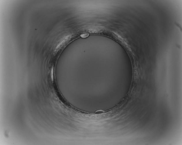 X0000102260019200808011415