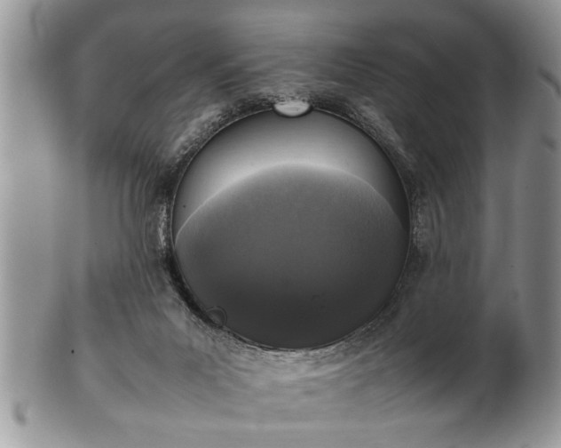 X0000102260023200808011415