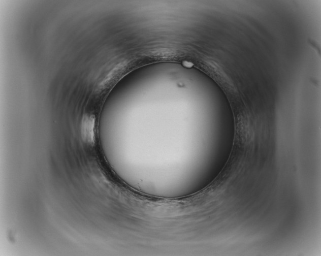 X0000102260024200808011415