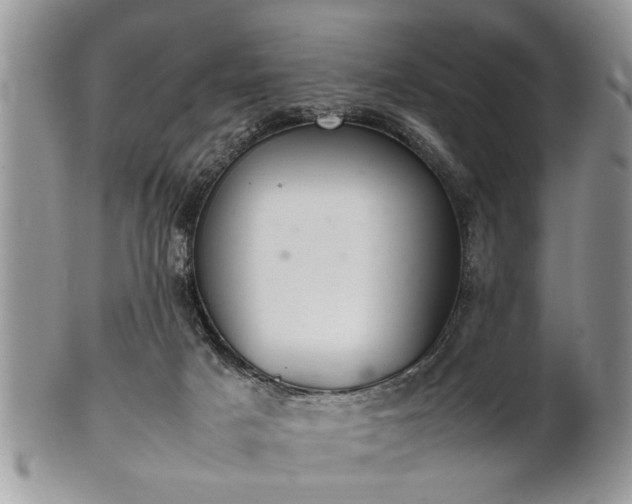 X0000102260025200808011415