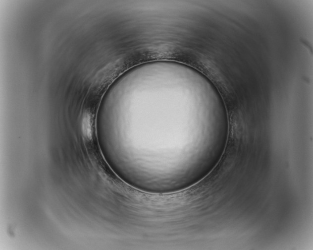 X0000102260026200808011415