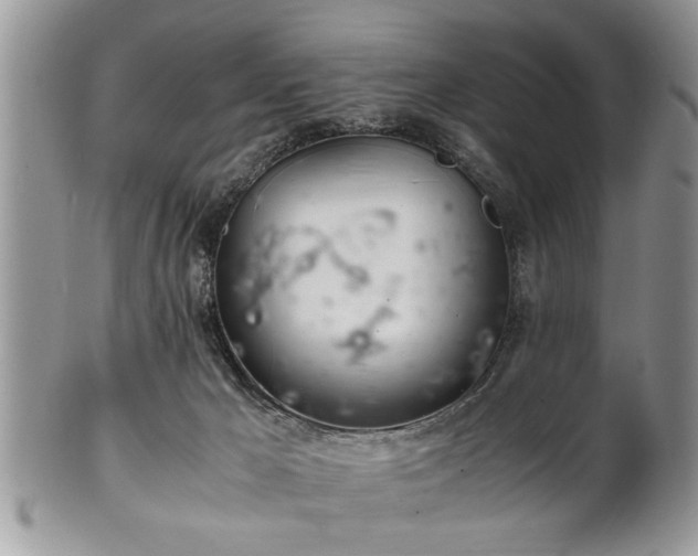 X0000102260029200808011415