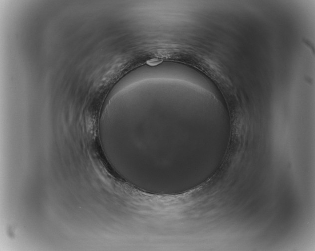 X0000102260031200808011415