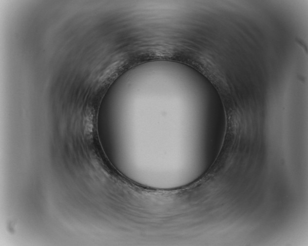 X0000102260032200808011415