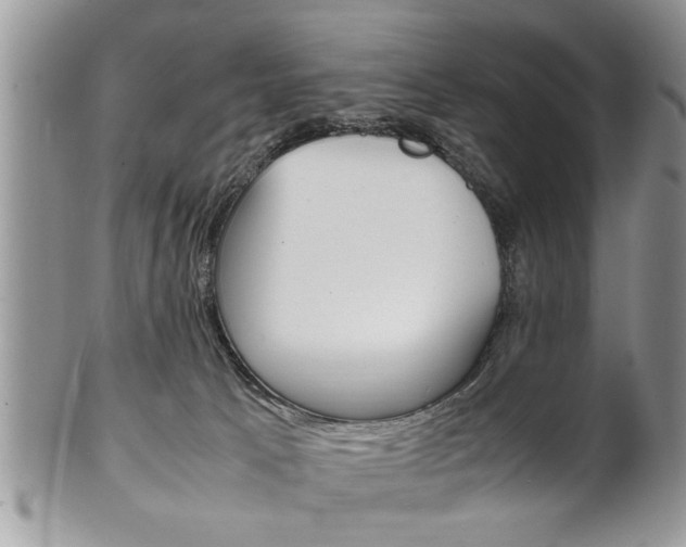 X0000102260033200808011415