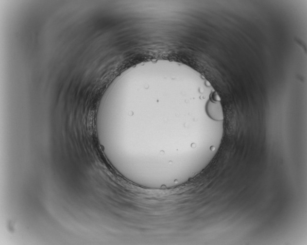 X0000102260034200808011415