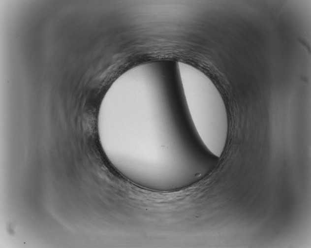 X0000102260035200808011415