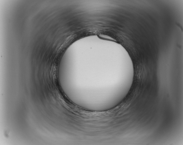 X0000102260036200808011415