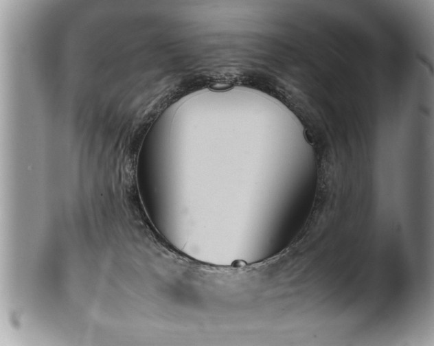 X0000102260037200808011415