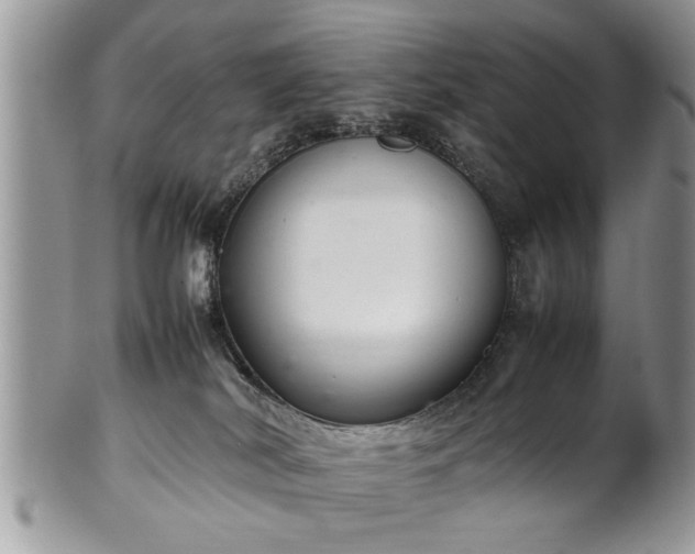 X0000102260038200808011415