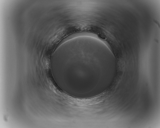 X0000102260039200808011415