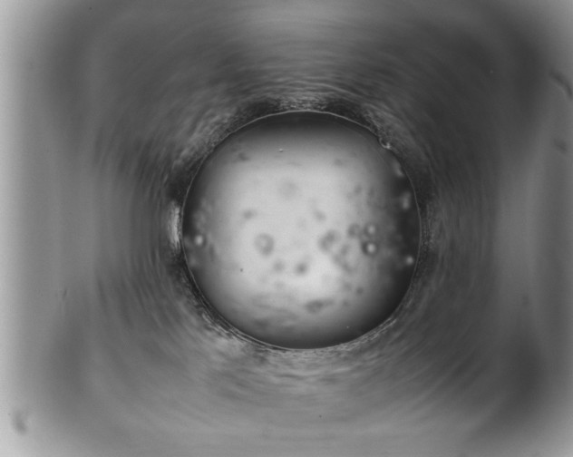 X0000102260041200808011415