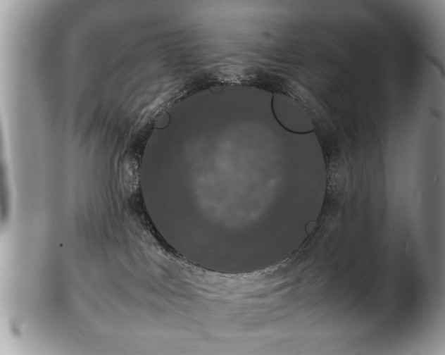 X0000102260043200808011415