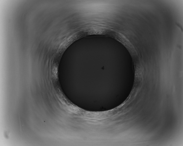 X0000102260045200808011415