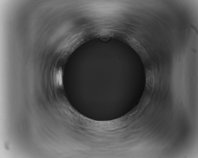 X0000102260046200808011414