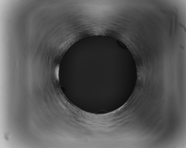 X0000102260047200808011414