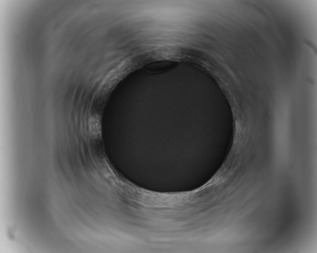 X0000102260048200808011414