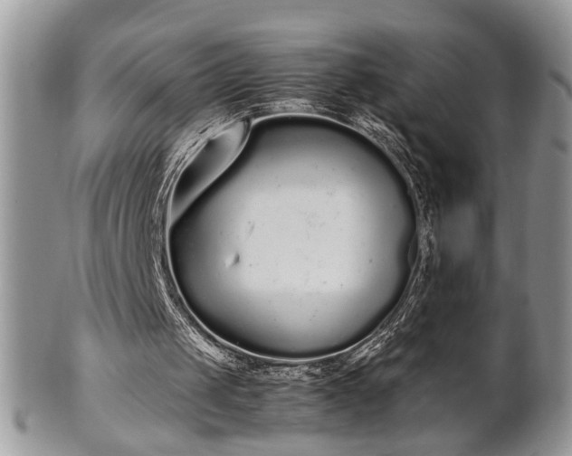 X0000102260049200808011414