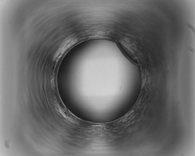 X0000102260050200808011414