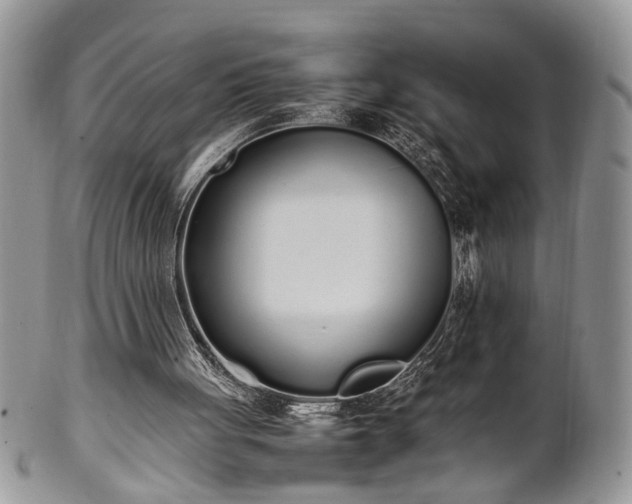 X0000102260051200808011414