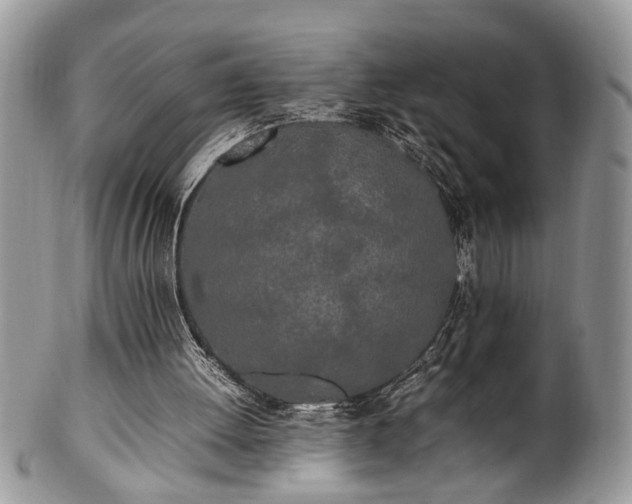 X0000102260052200808011414