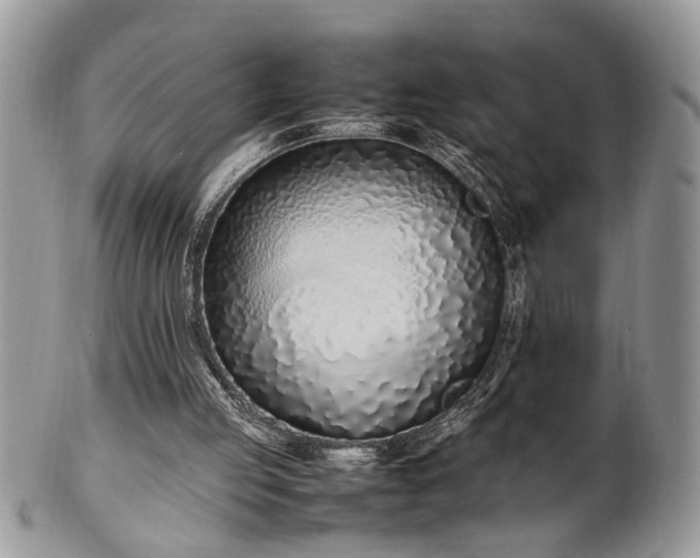 X0000102260053200808011414